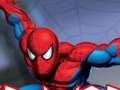 Spiel Spinnenkrieger  Online