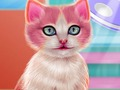 Spiel Kitty Dental Care Online