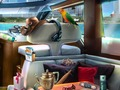 Spiel Karibisches Verbrechen  Online