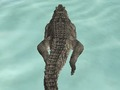Spiel Krokodilsimulator Strandjagd  Online