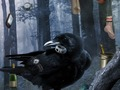 Spiel Gruseliges, gruseliges Haus  Online