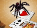 Spiel Springende Spinne  Online
