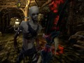 Spiel Zombies gegen Berserker 2  Online