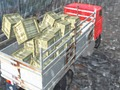 Spiel Offroad-LKW-Fahrer  Online