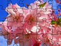 Spiel Puzzle: Blumen  Online