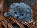 Spiel Puzzle: Katzen  Online