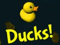 Spiel Enten!  Online