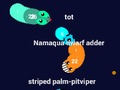 Spiel Curv. io  Online