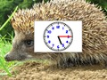 Spiel Puzzle-Bilder Uhren  Online