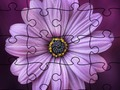 Spiel Puzzle Sommer  Online