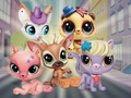 Spiel Little Pet Shop: Verstecken  Online