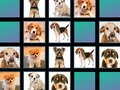 Spiel Tierisches Gedächtnis  Online