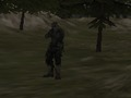 Spiel FÖD-Agentur: Wald  Online