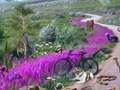 Spiel Verschwindende Spur  Online