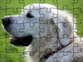 Spiel Puzzle domestizierte Tiere  Online