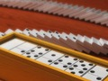 Spiel Domino-Mehrspieler  Online