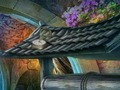 Spiel Kaltes Gold  Online