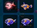 Spiel Fischkarten  Online