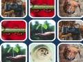 Spiel Speicherproblem  Online