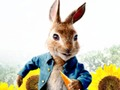 Spiel Peter Rabbit: Ärger im Labyrinth  Online