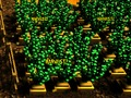 Spiel Pixelfarm Online