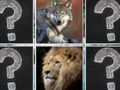Spiel Memory Match Dschungeltiere  Online
