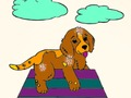 Spiel Haustiere Malbuch  Online