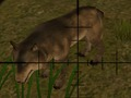 Spiel Tierjäger  Online