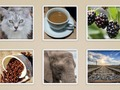 Spiel Bildfolie  Online