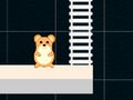 Spiel Intelligente Hamsterzeit  Online