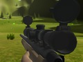 Spiel Klassische Flusspferdjagd  Online