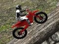 Spiel Waldfahrradversuche 2019 Online