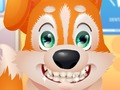 Spiel Netter Welpenzahnarzt  Online