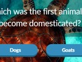 Spiel Tiervermögen Online
