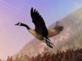 Spiel Entenjäger  Online