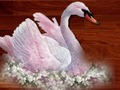 Spiel Liebes-Vogel-Puzzlespiel  Online
