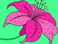 Spiel Fröhliche Farbe  Online