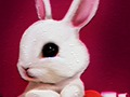 Spiel Zurück zu Schule: Kaninchen-Malbuch  Online