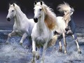 Spiel Pferde  Online