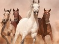 Spiel Pferde Puzzle  Online