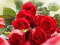 Spiel Rote Rosen  Online