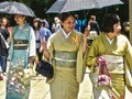 Spiel 100 Schmetterlinge in Japan  Online