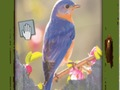 Spiel Saison-Wischfenster  Online