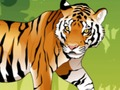 Spiel Angry Tiger Färbung  Online