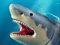 Spiel Haifischjagd  Online
