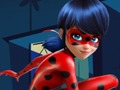 Spiel Marienkäfer-Puzzle  Online