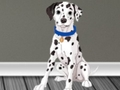 Spiel Tierarzt Flucht 2  Online