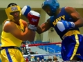 Spiel Wütende Boxer kämpfen  Online