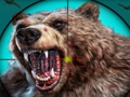 Spiel Wildbärenjagd  Online