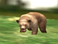 Spiel Safari Tierjäger  Online